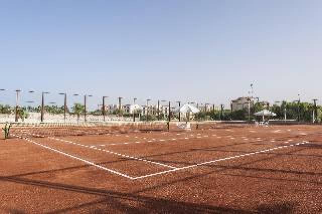 Desportos y Entretenimento