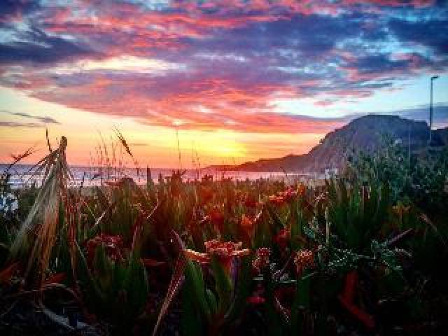Praia