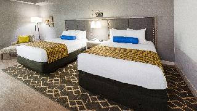 Quarto