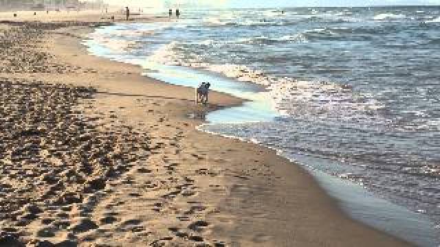 Praia