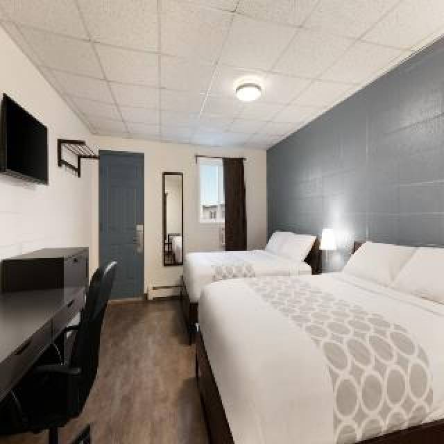 Quarto