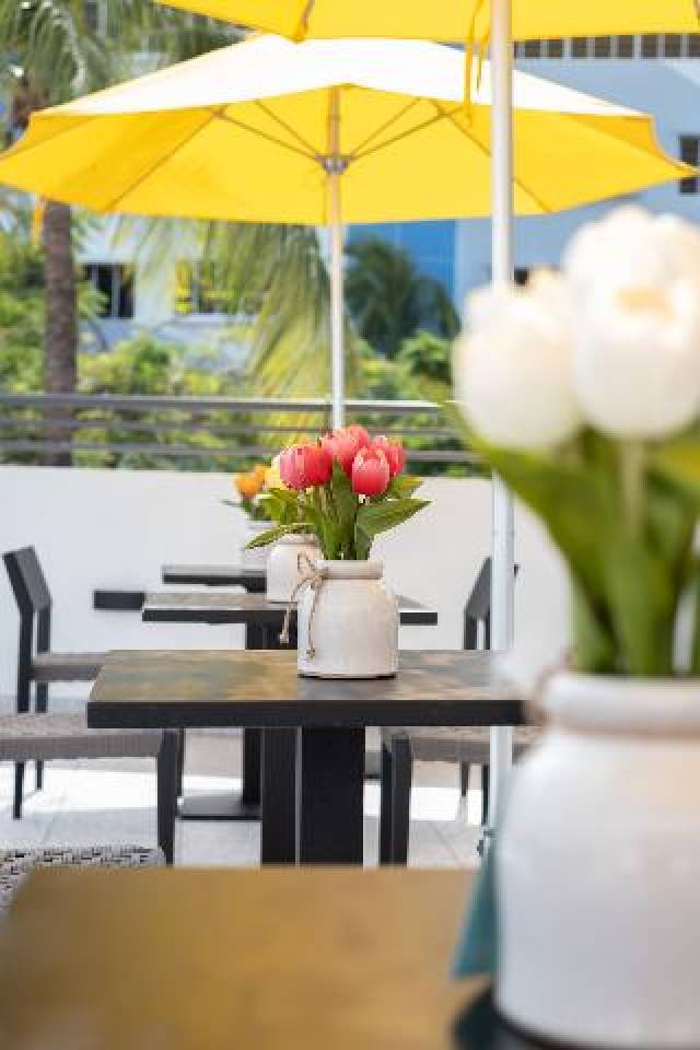 Terraço