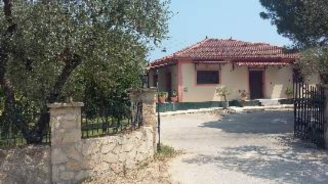Vista General
