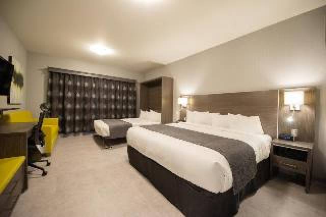 Quarto