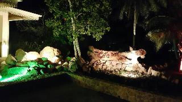 Vista General