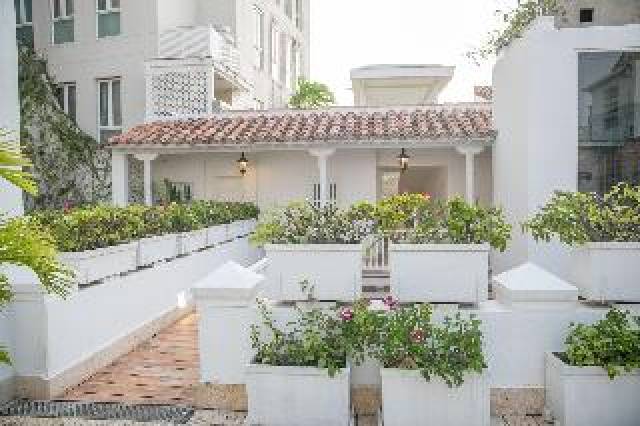 Terraço