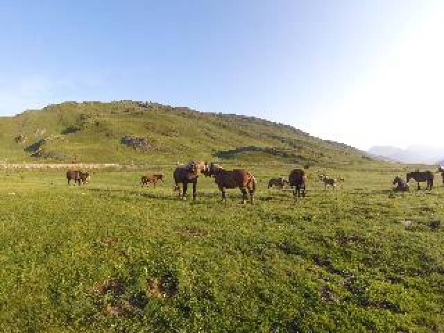 Vista General