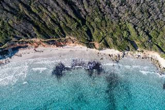 Praia