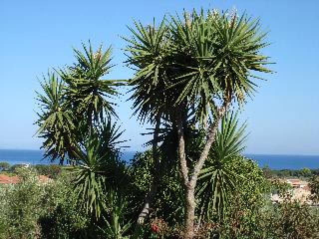 Vista General