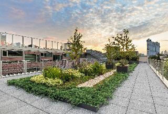 Terraço