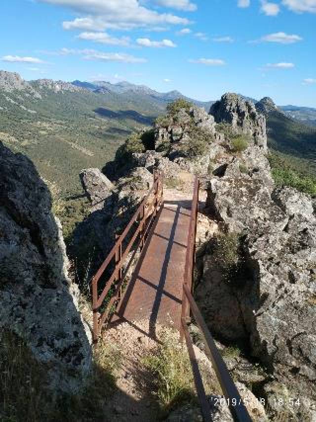 Desportos y Entretenimento