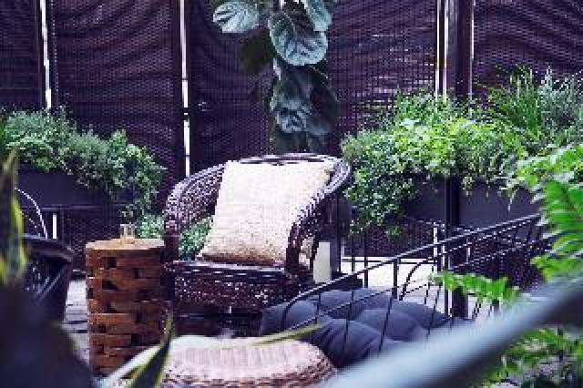 Terraço