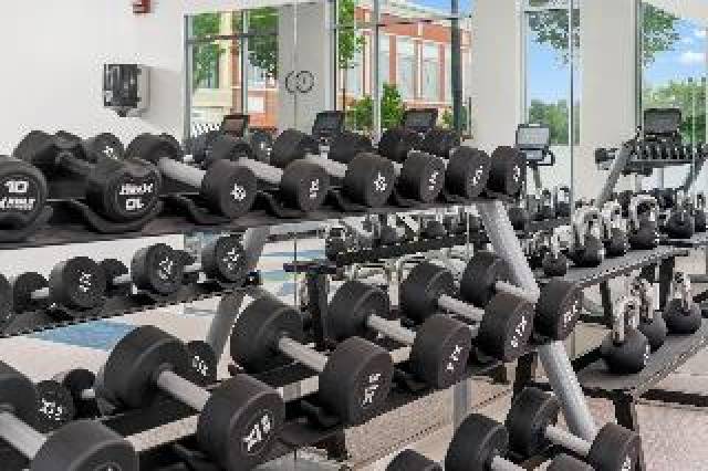 Desportos y Entretenimento