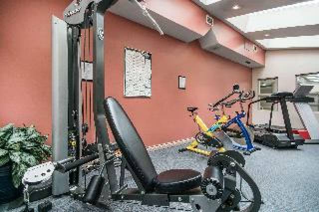Desportos y Entretenimento