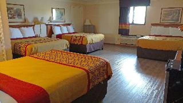 Quarto