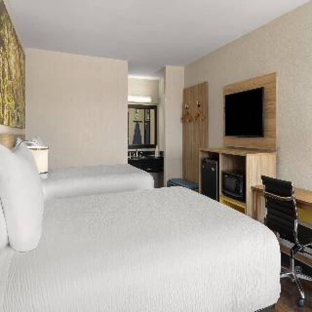 Quarto