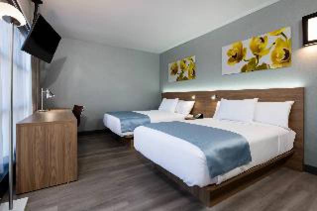 Quarto