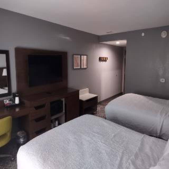 Quarto