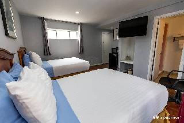 Quarto