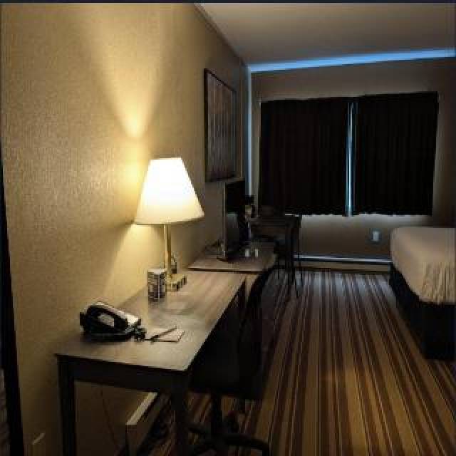Quarto