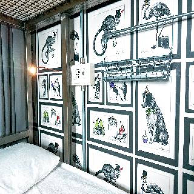 Quarto
