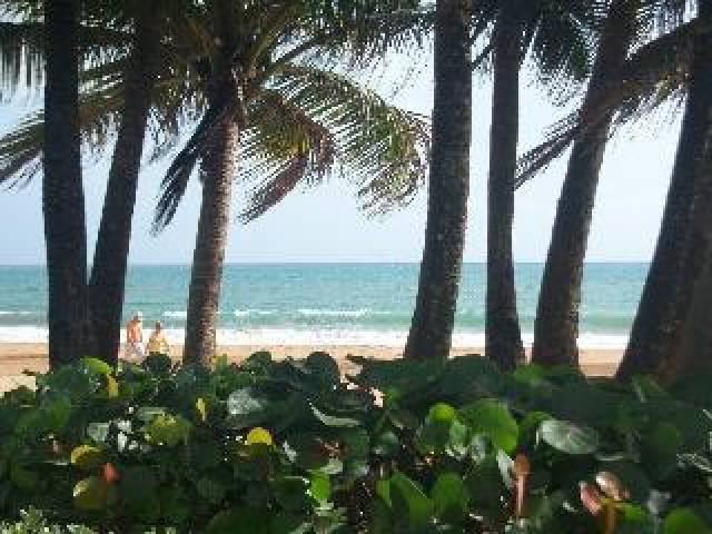 Praia