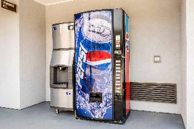 Desportos y Entretenimento