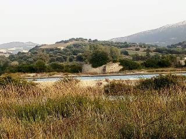 Vista General