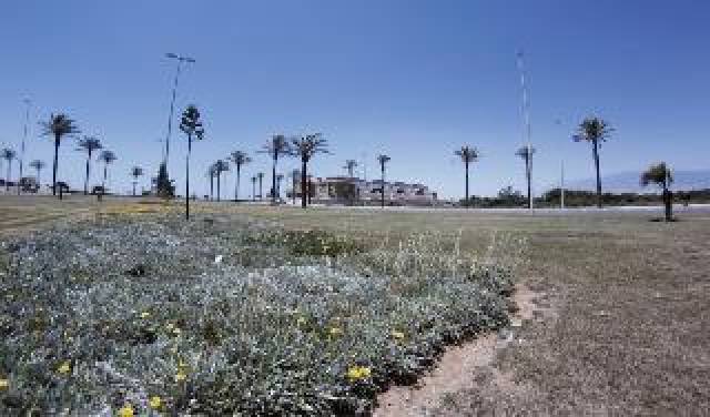 Vista General