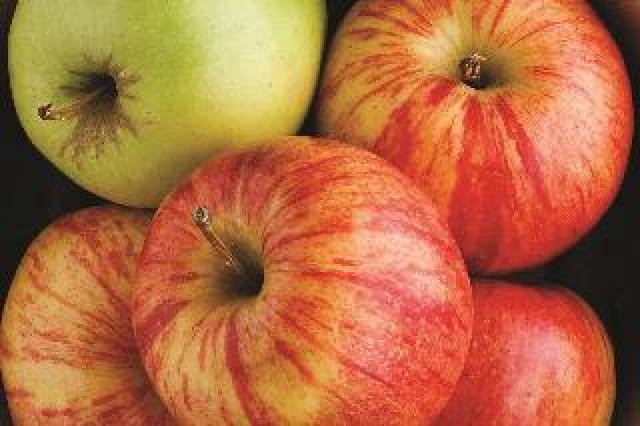 Vista General