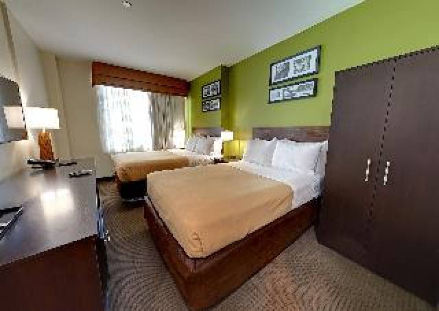 Quarto