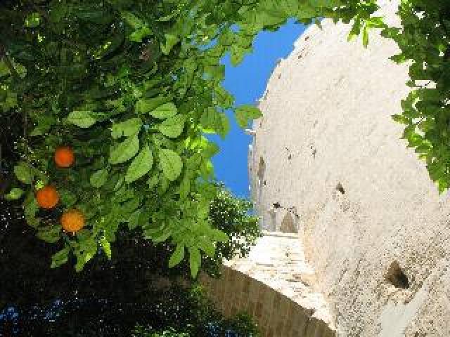 Vista General