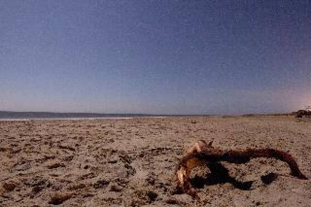 Praia