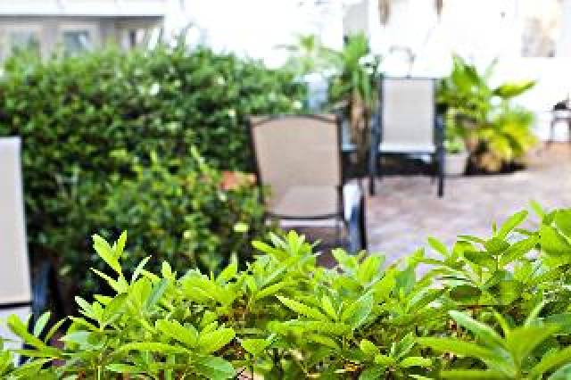 Terraço