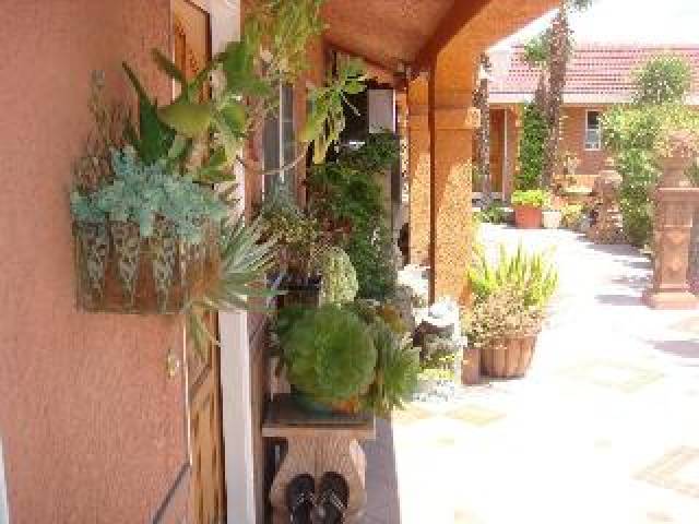 Terraço