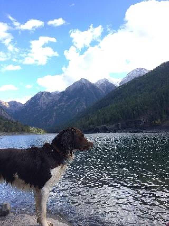 Vista General