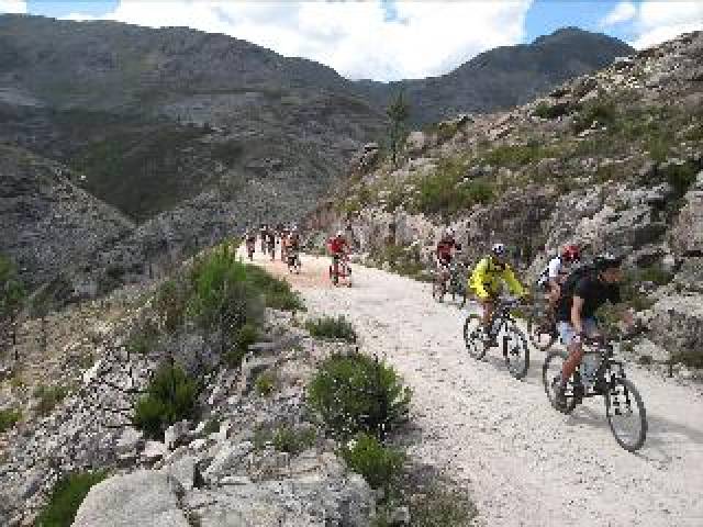 Desportos y Entretenimento