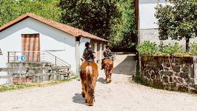 Desportos y Entretenimento