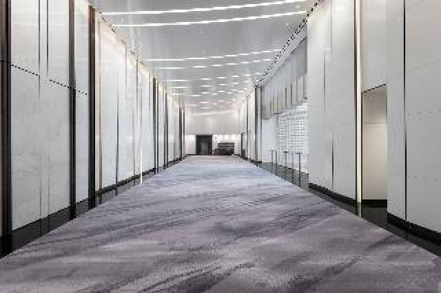 Conferencias
