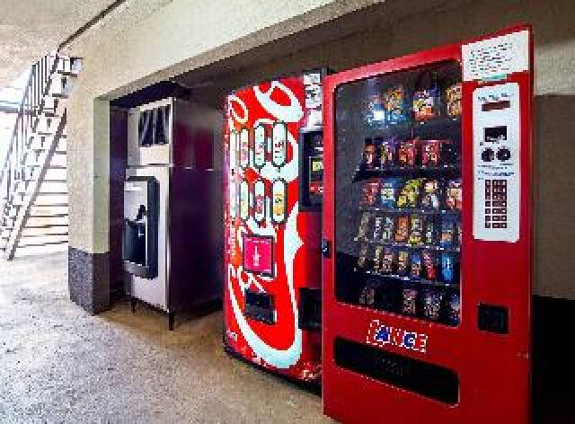 Desportos y Entretenimento