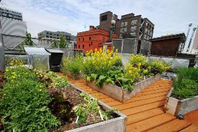 Terraço