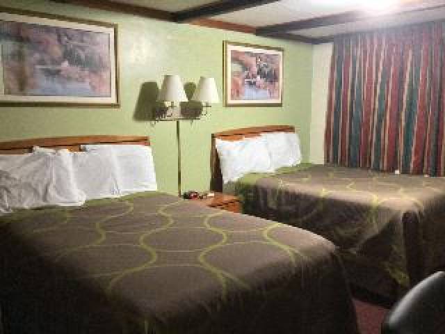Quarto