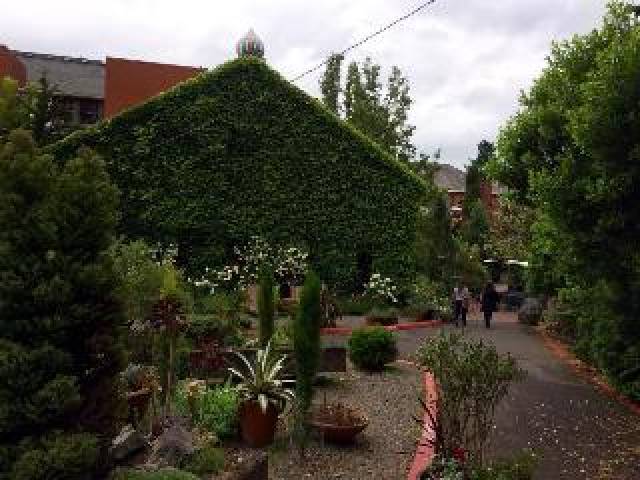 Terraço