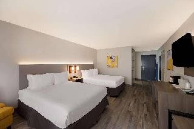 Quarto