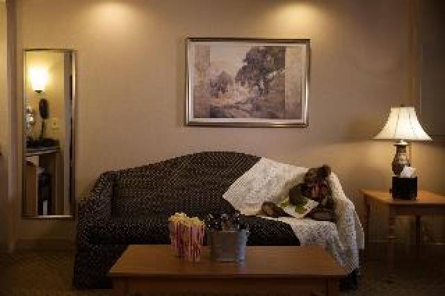 Quarto