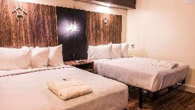 Quarto