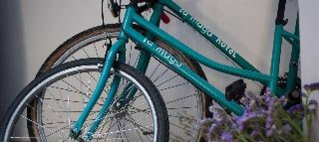 Desportos y Entretenimento