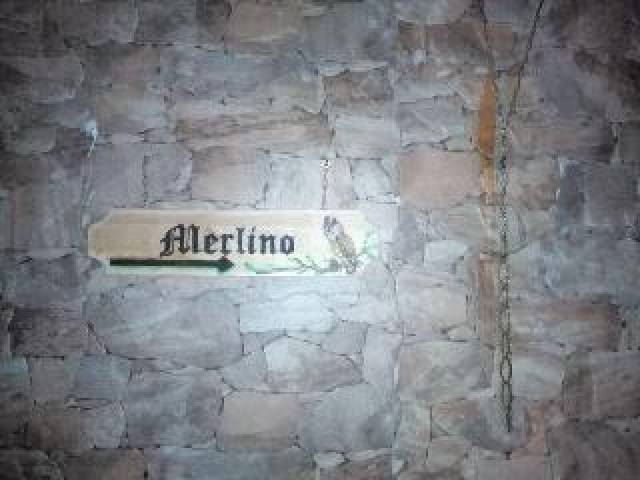 Desportos y Entretenimento