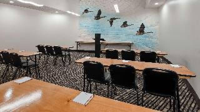 Conferencias