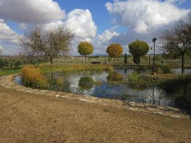 Vista General